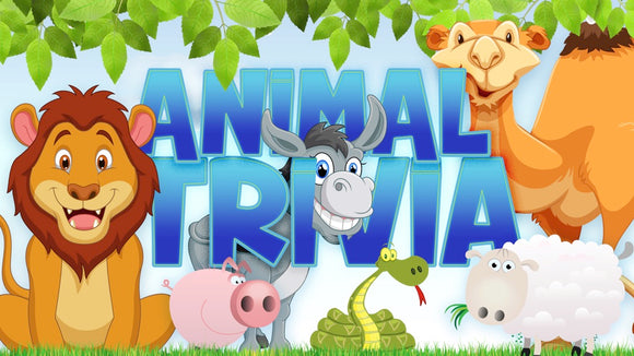 Animal Trivia On Screen Game