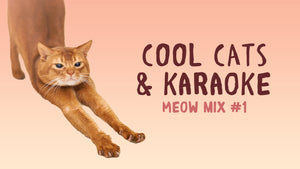 Cool Cats & Karaoke [Meow Mix Edition] Crowd Breaker Game