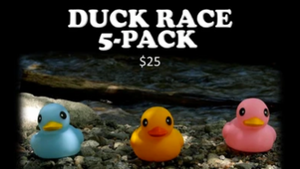 Duck Race [5-Pack] Racing Game Video