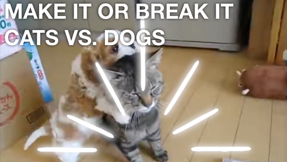 Make It or Break It [Cats vs. Dogs Edition] Crowd Breaker Game