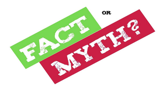 Fact or Myth? On Screen Game