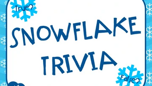 Snowflake Trivia On Screen Game