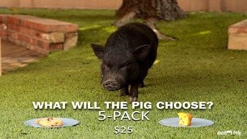 What Will the Pig Choose? [5-Pack] Crowd Breaker Video