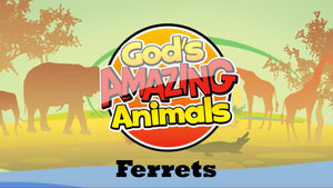 God's Amazing Animals Teaching Video: Ferrets