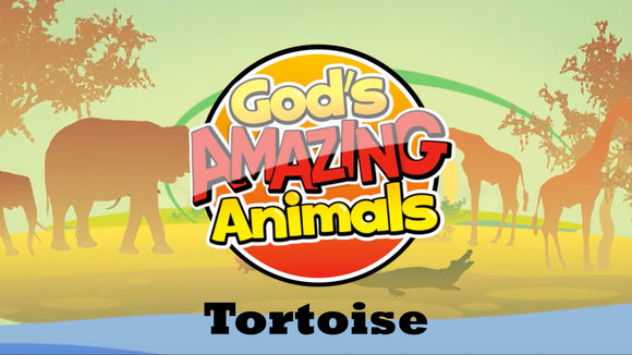 God's Amazing Animals Teaching Video: Tortoise